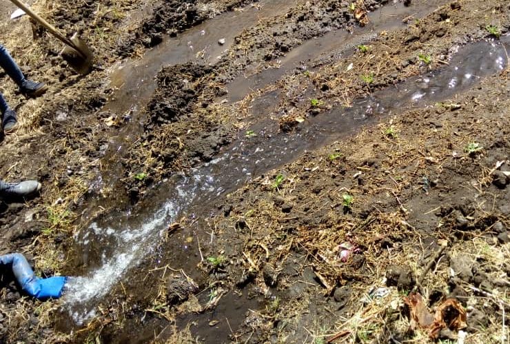 Water flowing through plantation at the green flower foundation in Ethiopia (Bishoftu)