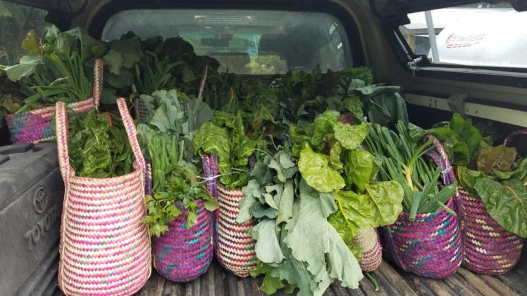 Colourful baskets of organic vegetables in a trunk ready to deliver