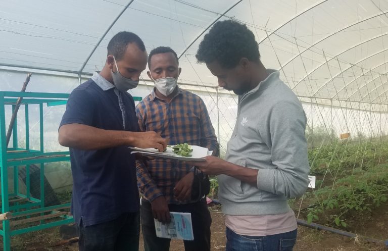 Teacher showing a plant to other adults