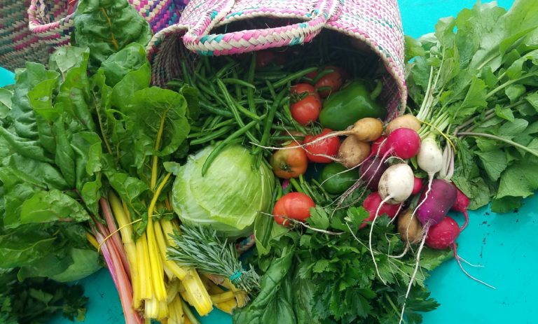 Colourful basket of organic vegetables and herbs