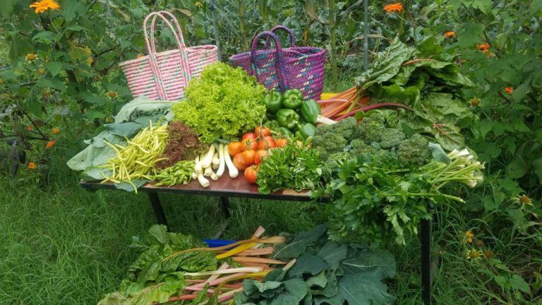 Table full of vegetables and herbs with colourful ethiopian baskets