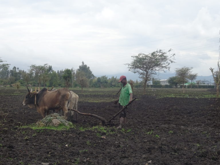 Land preparation